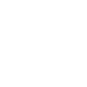 Sinergy Partners logo